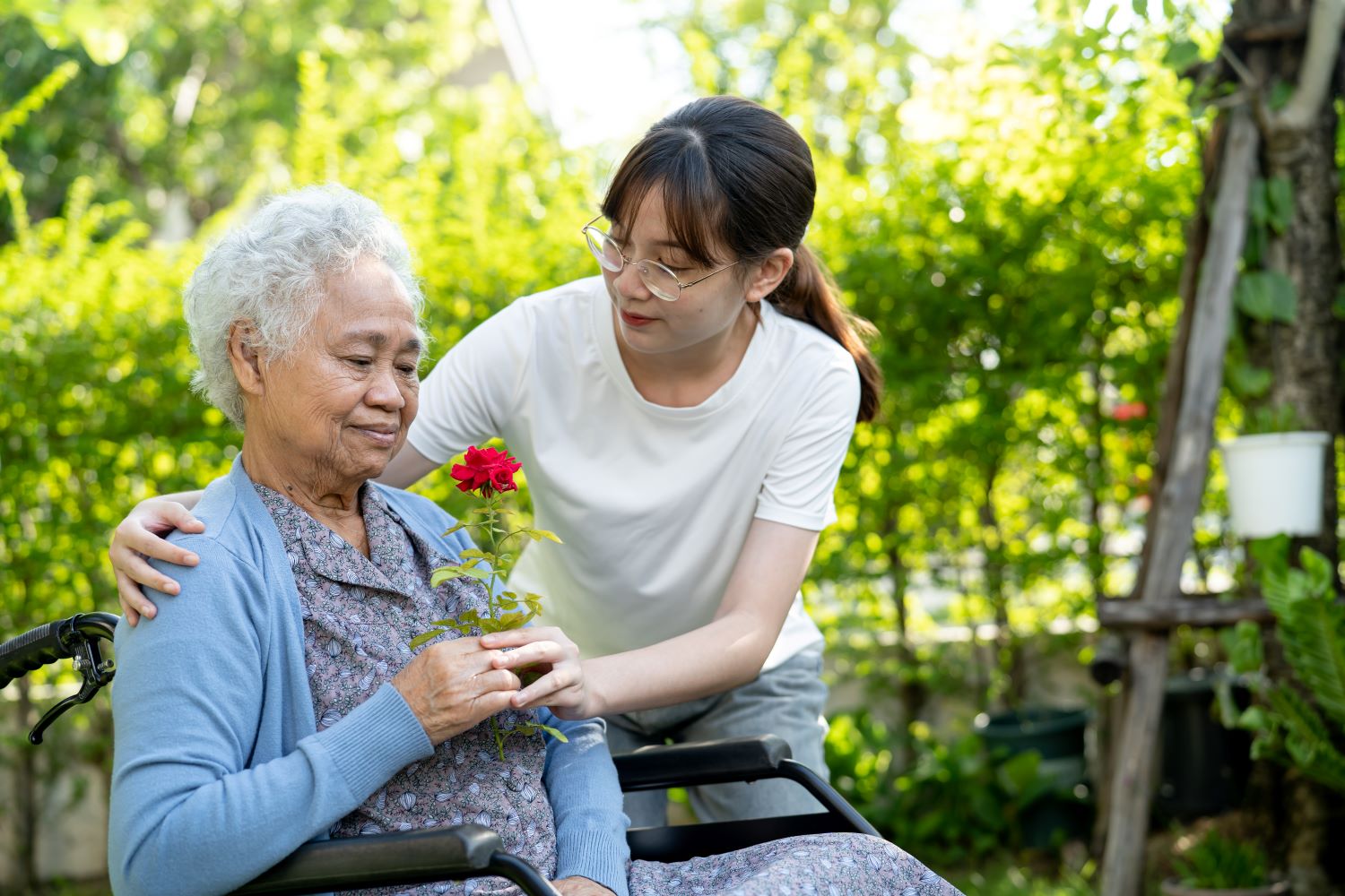 Care Planning